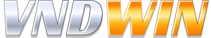 vndwin8 org